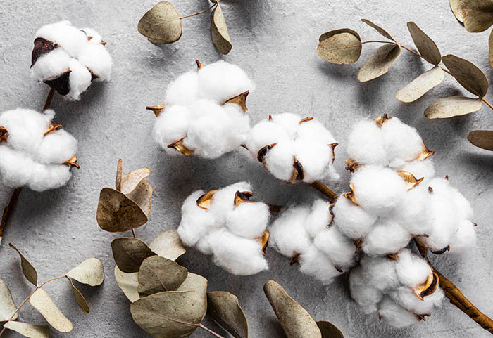 <div>V kontakte s prírodnými materiálmi.</div>