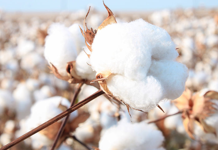<div>Len to najlepšie pre vašu pokožku a pokojný spánok.</div>