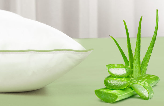 Upokojujúci pocit počas spánku s aloe vera.