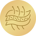 Špičková priedušnosť3